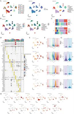 Unraveling the ecological landscape of mast cells in esophageal cancer through single-cell RNA sequencing